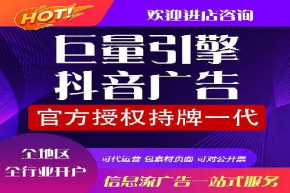 SEM优化策略：案例解读成功之道